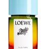Loewe Paula s Ibiza - 0