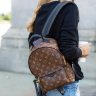 Louis Vuitton Palm Springs Backpack PM - 0