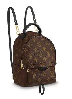 Louis Vuitton Palm Springs Backpack MINI