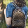 Louis Vuitton Palm Springs Backpack MM - 0