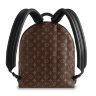 Louis Vuitton Palm Springs Backpack MM - 0