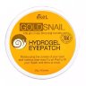 Ekel Gold Snail - 0